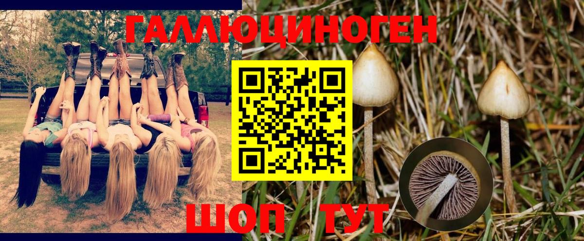Саратов  Галлюциногенные грибы ЛСД  Вход с VPN 